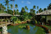 Beqa Lagoon Resort 